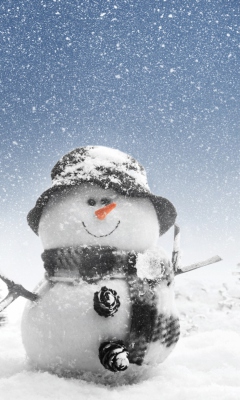 Fondo de pantalla New Year Snowman 240x400