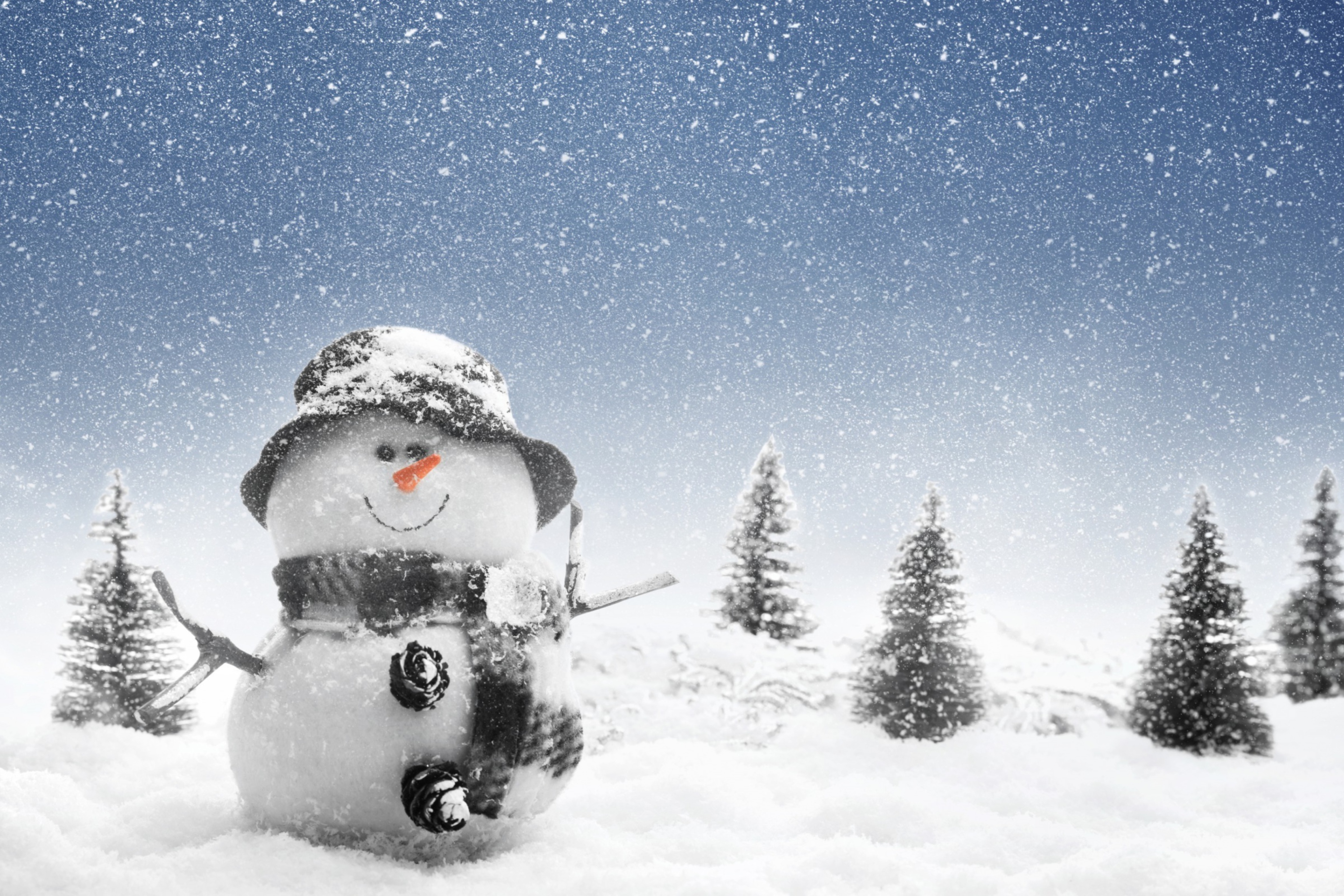 Das New Year Snowman Wallpaper 2880x1920