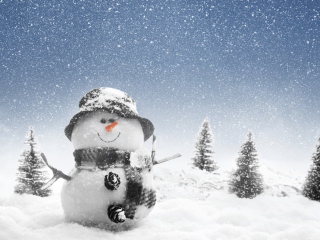 Sfondi New Year Snowman 320x240