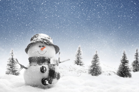 Das New Year Snowman Wallpaper 480x320