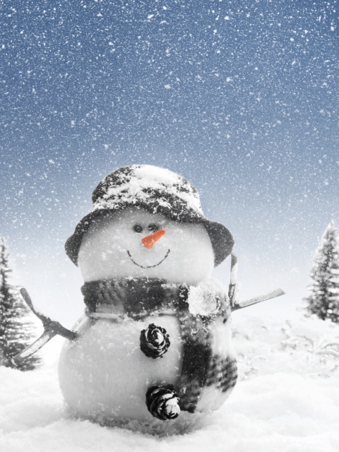 Das New Year Snowman Wallpaper 480x640