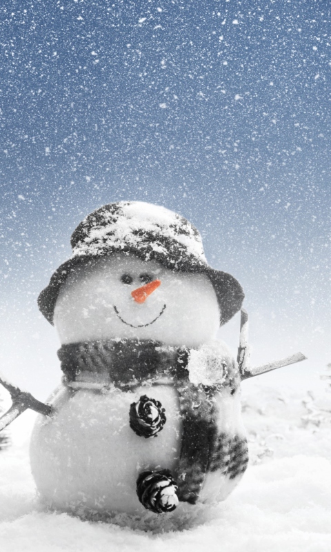 Screenshot №1 pro téma New Year Snowman 480x800