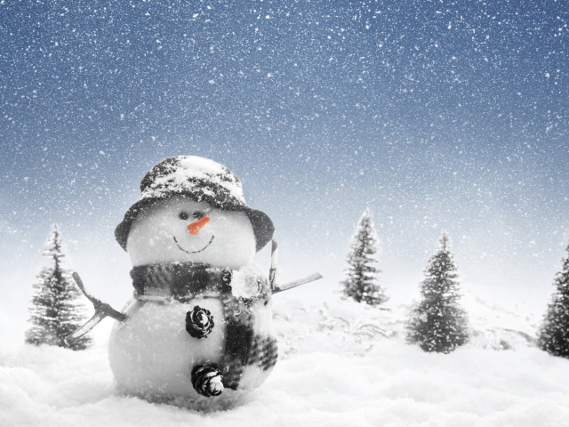Обои New Year Snowman 640x480