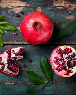 Kostenloses Organic Pomegranate Wallpaper für Nokia X1-00