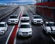 Das BMW All Series Wallpaper 220x176