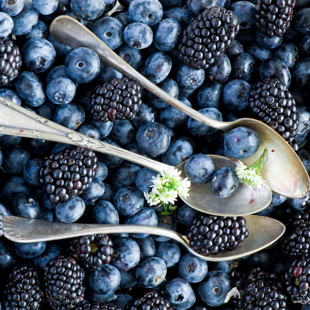 Das Blueberries And Blackberries Wallpaper 1024x1024