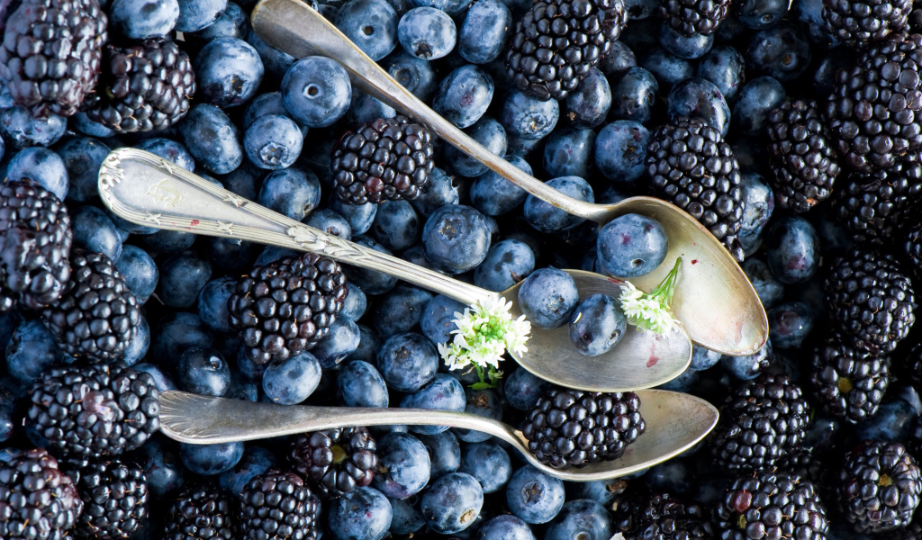 Fondo de pantalla Blueberries And Blackberries 1024x600