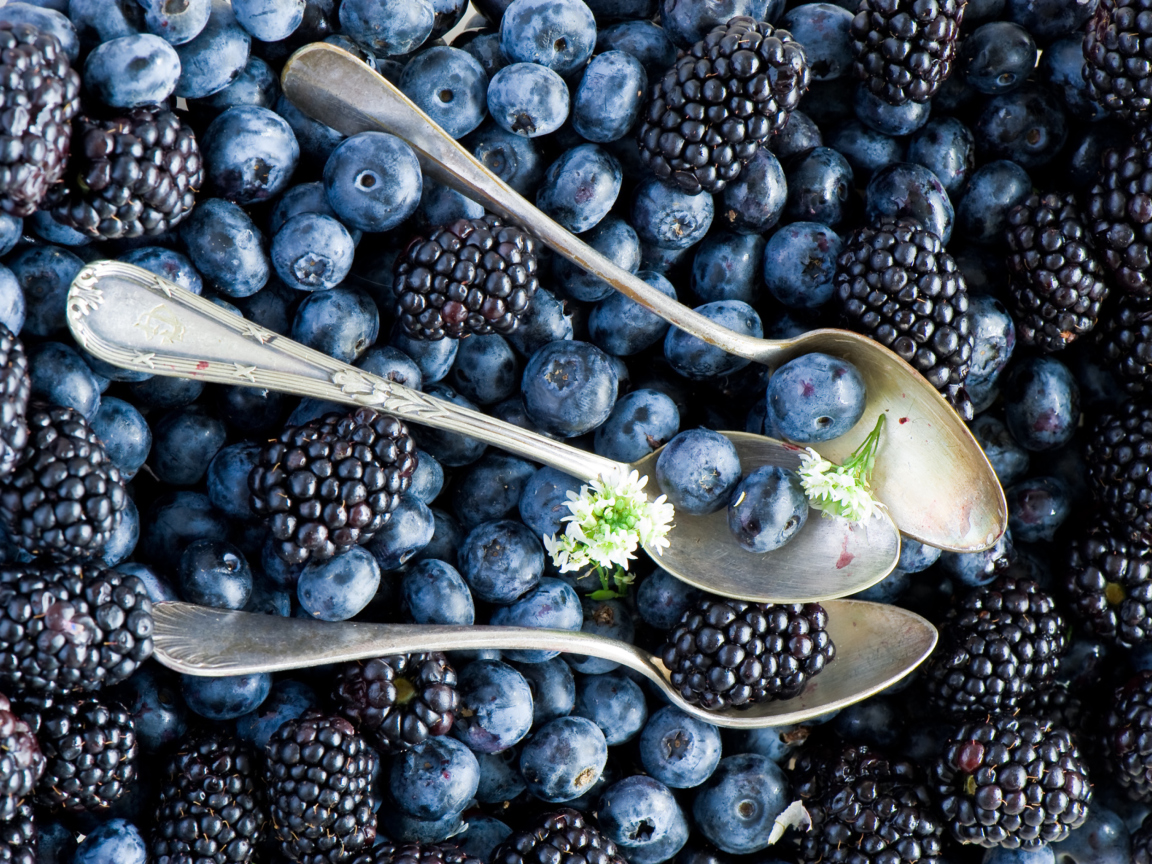 Blueberries And Blackberries wallpaper 1152x864