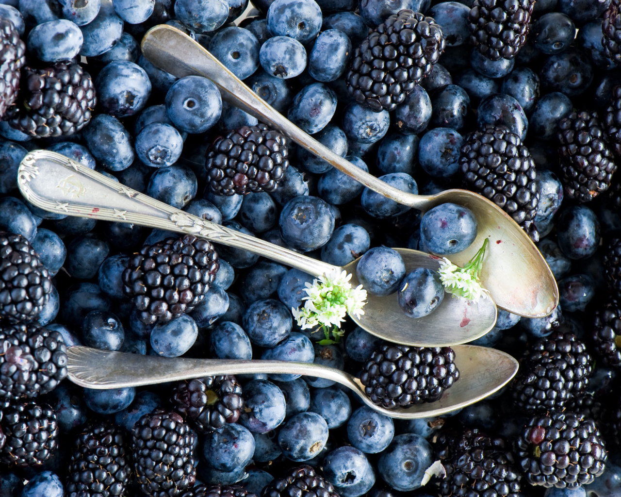 Blueberries And Blackberries wallpaper 1280x1024