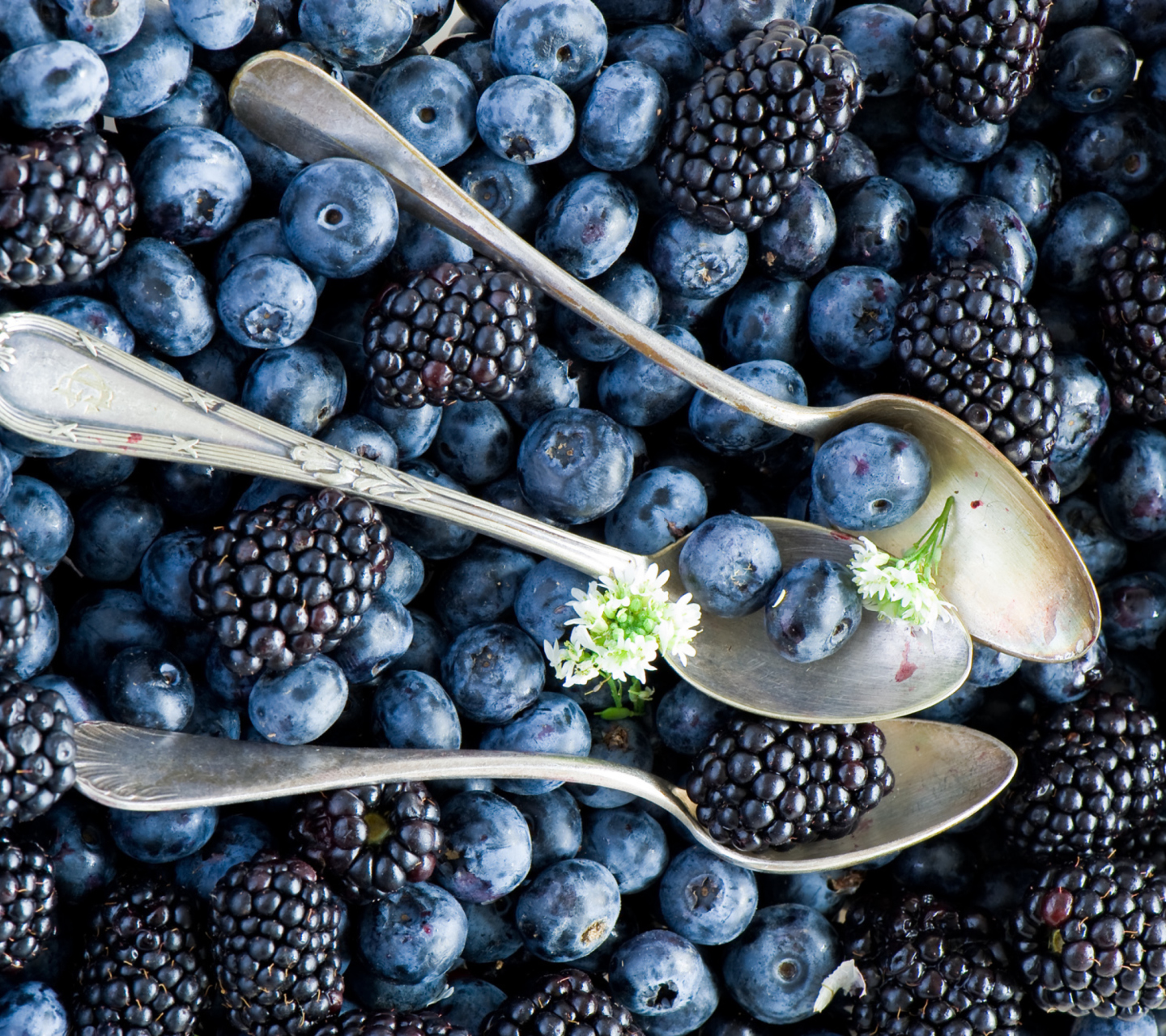 Обои Blueberries And Blackberries 1440x1280
