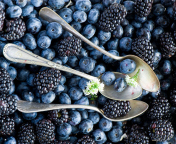 Обои Blueberries And Blackberries 176x144