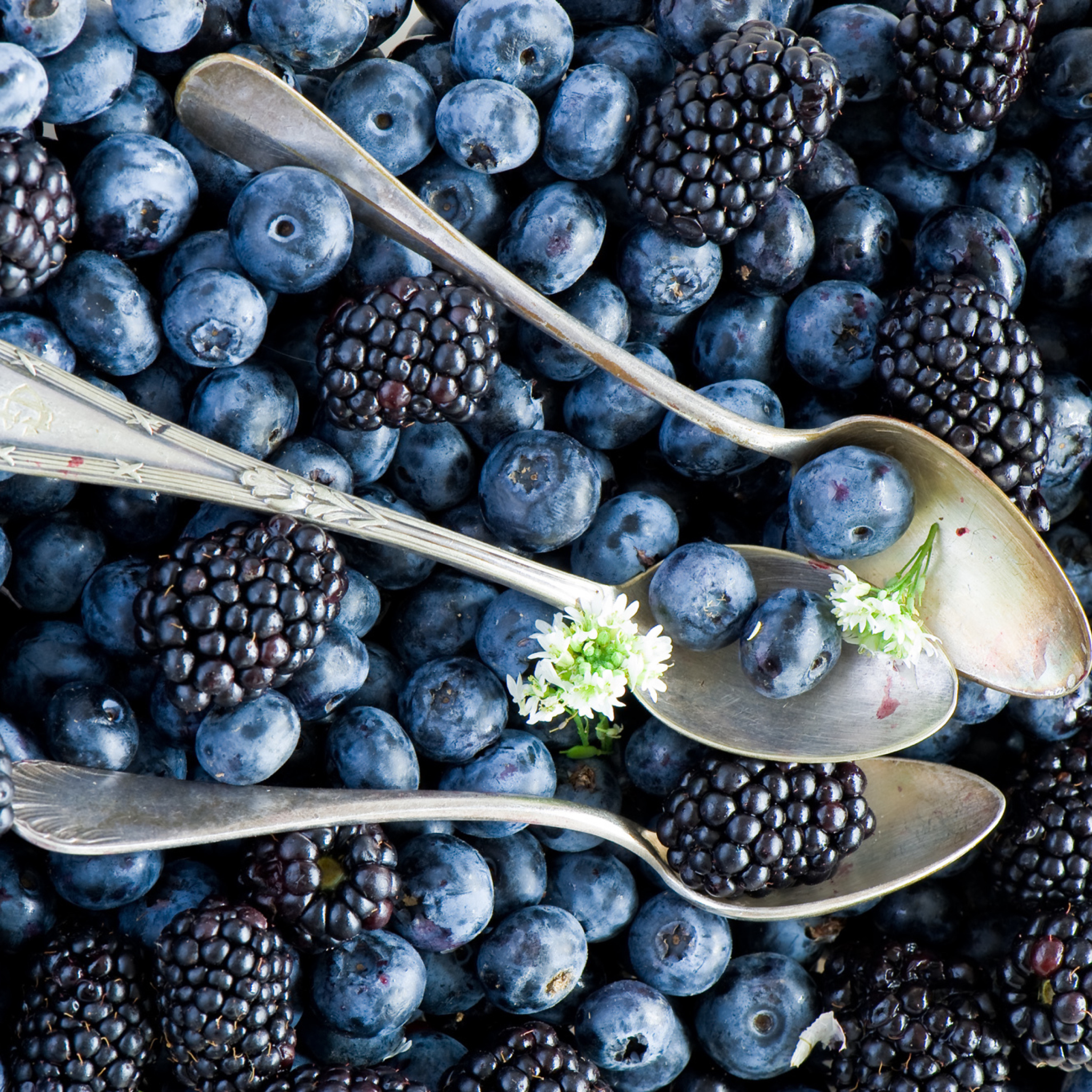 Sfondi Blueberries And Blackberries 2048x2048