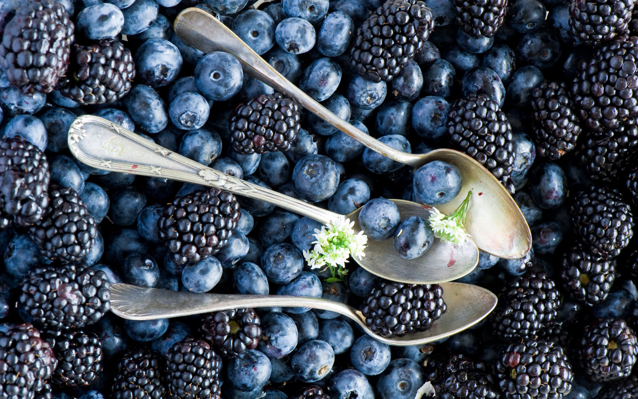 Sfondi Blueberries And Blackberries 2560x1600