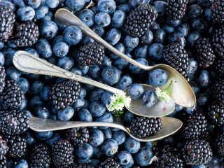 Blueberries And Blackberries wallpaper 320x240