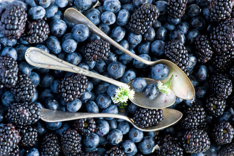 Blueberries And Blackberries wallpaper 480x320