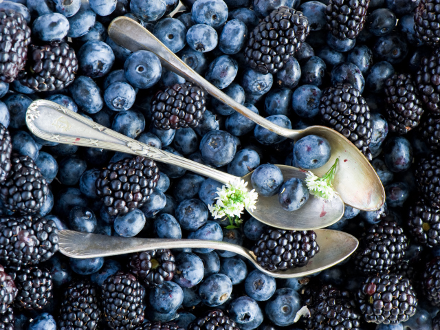 Обои Blueberries And Blackberries 640x480