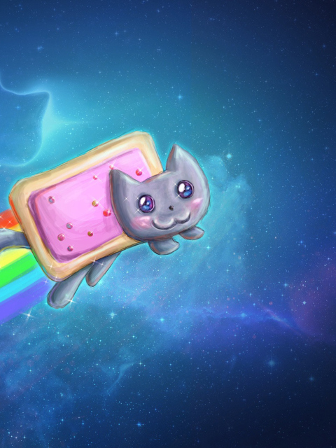 Nyan Cat wallpaper 480x640