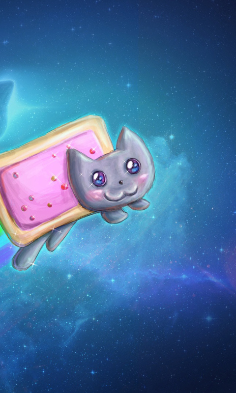 Das Nyan Cat Wallpaper 480x800