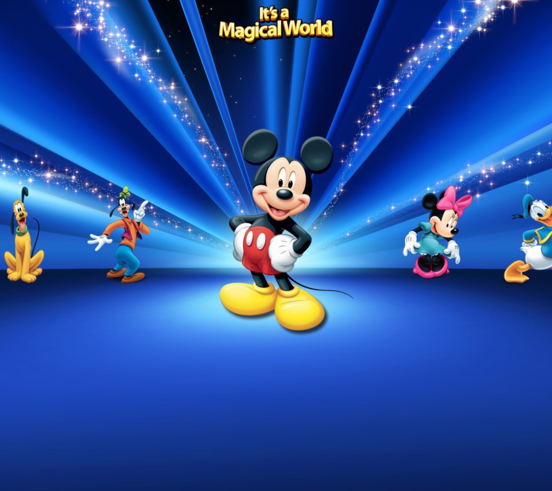 Das Magical Disney World Wallpaper 1080x960