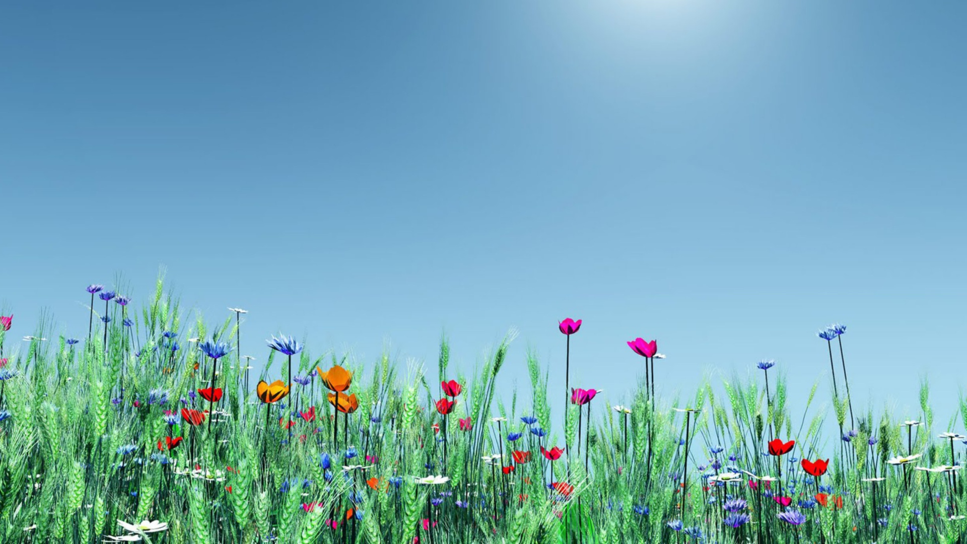 Spring Flowers screenshot #1 1920x1080