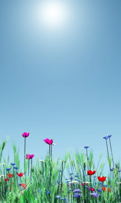 Spring Flowers screenshot #1 240x400