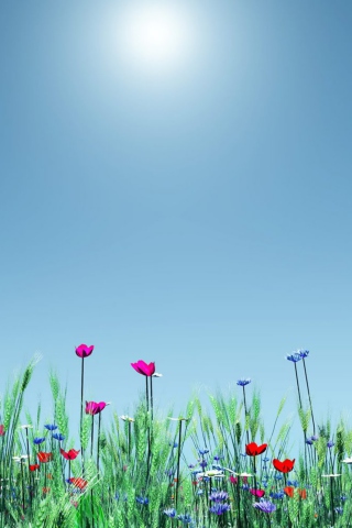 Screenshot №1 pro téma Spring Flowers 320x480