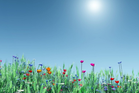 Screenshot №1 pro téma Spring Flowers 480x320