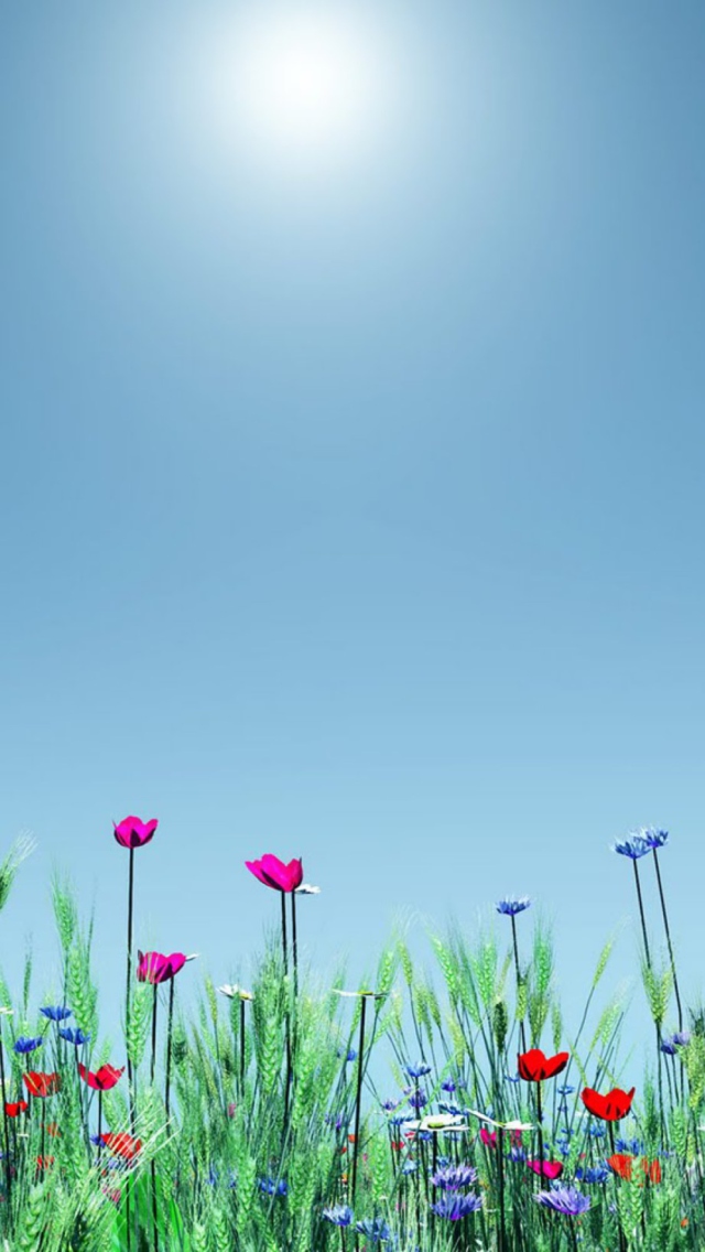 Spring Flowers wallpaper 640x1136