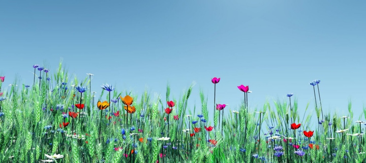 Screenshot №1 pro téma Spring Flowers 720x320