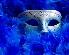 Sfondi Mask And Feathers 220x176