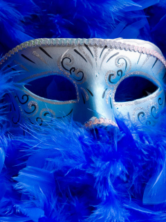 Mask And Feathers screenshot #1 240x320