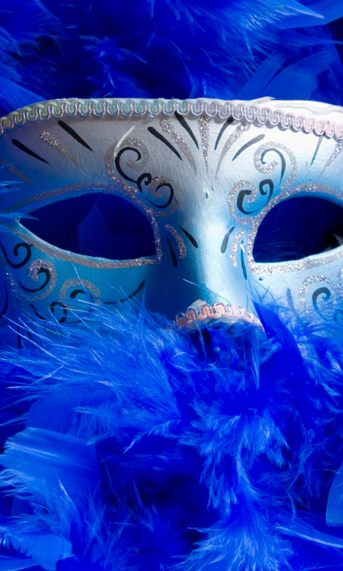 Mask And Feathers wallpaper 480x800