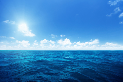 Das Ocean in Tropics Wallpaper 480x320