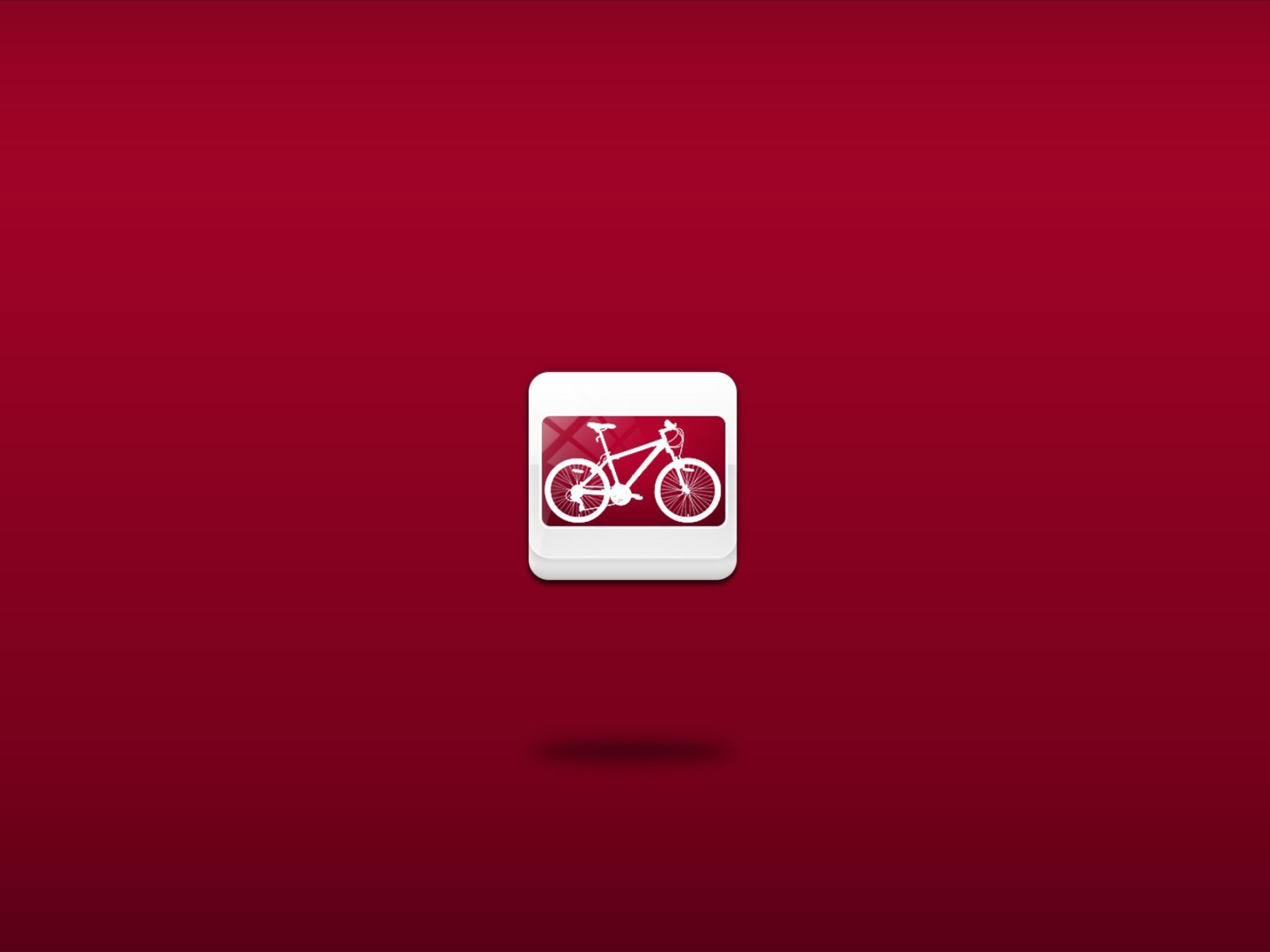Fondo de pantalla Bicycle Illustration 1600x1200