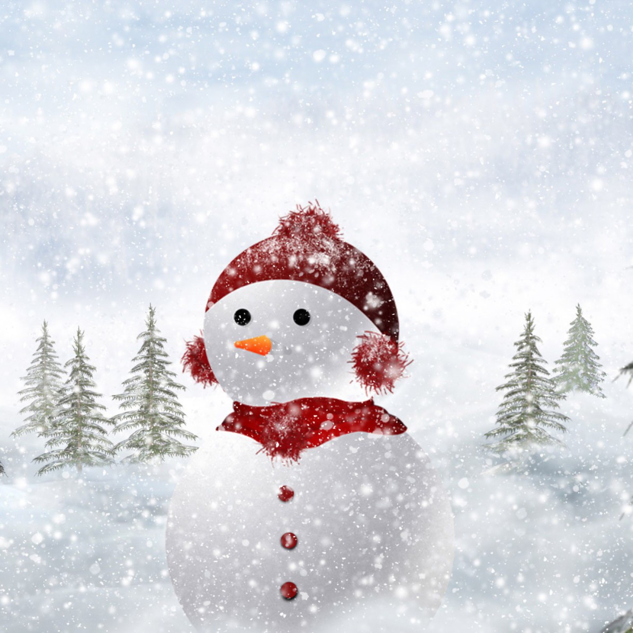 Das Snowman In Snow Wallpaper 2048x2048