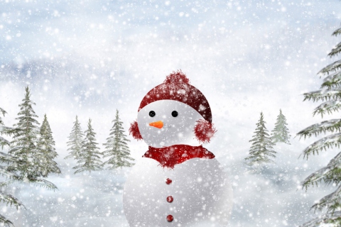 Snowman In Snow wallpaper 480x320