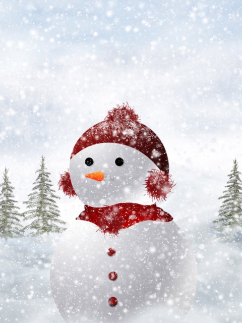 Snowman In Snow wallpaper 480x640