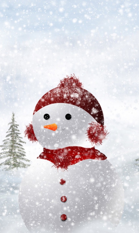 Snowman In Snow wallpaper 480x800