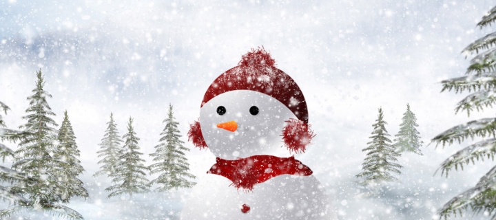 Fondo de pantalla Snowman In Snow 720x320