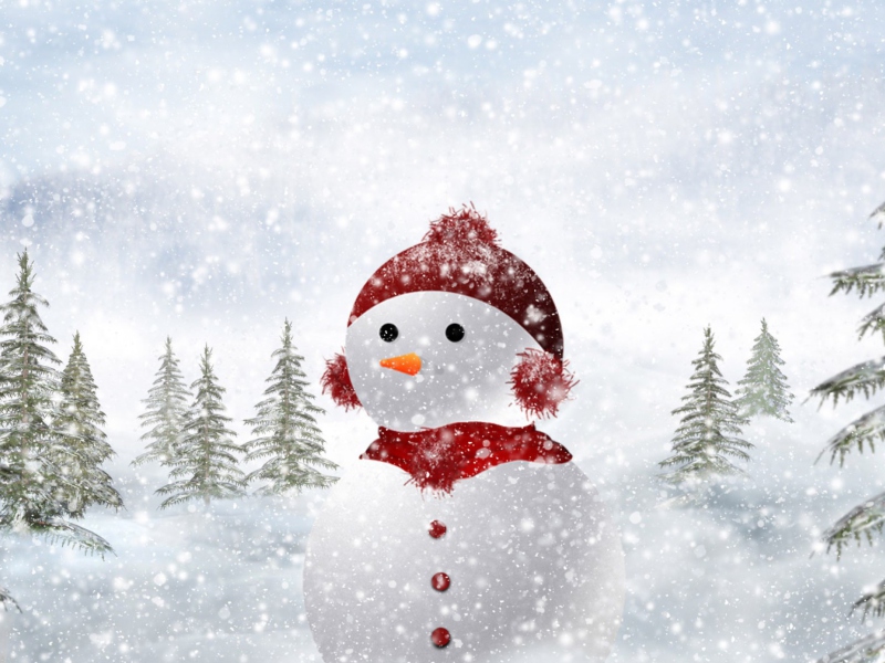 Snowman In Snow wallpaper 800x600