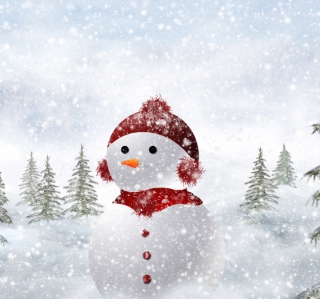 Kostenloses Snowman In Snow Wallpaper für 2048x2048