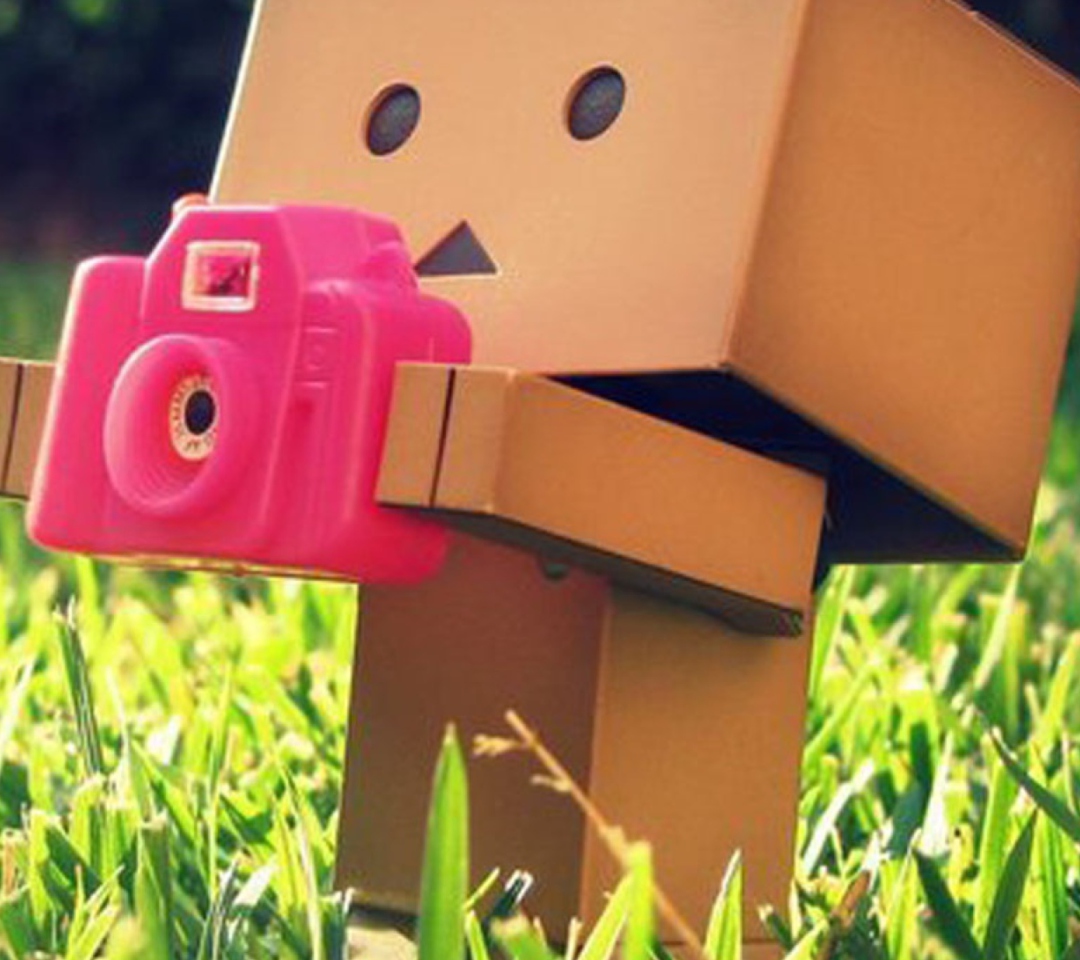 Screenshot №1 pro téma Danbo Is A Photographer 1080x960