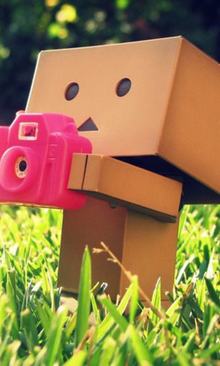 Fondo de pantalla Danbo Is A Photographer 768x1280