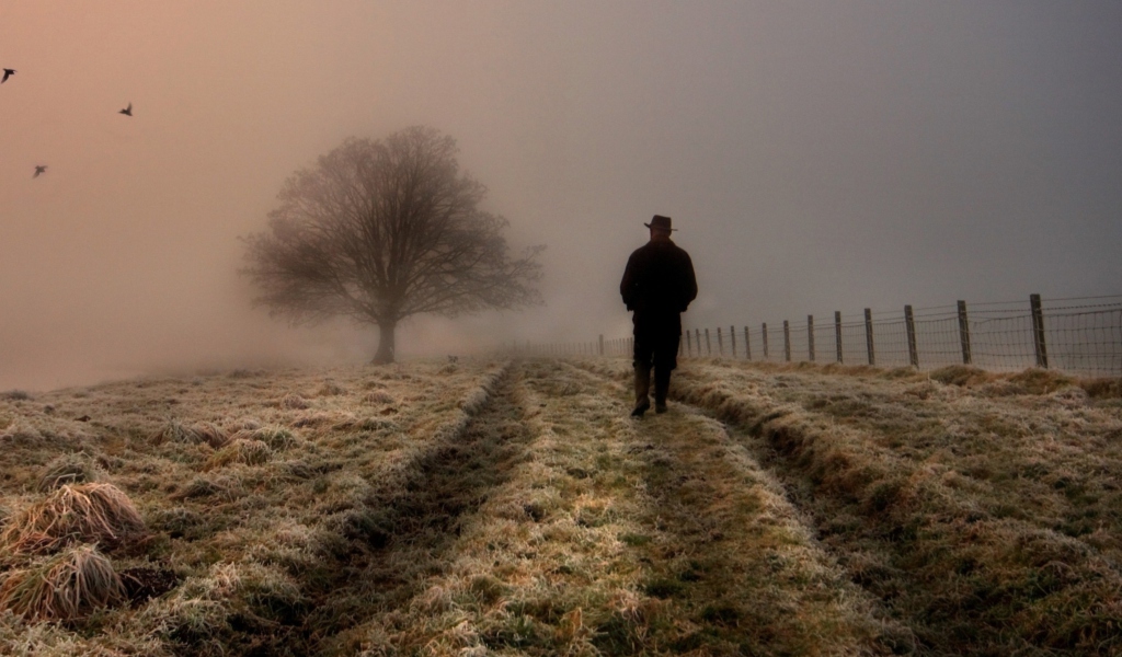 Das Lonely Man Walking In Field Wallpaper 1024x600