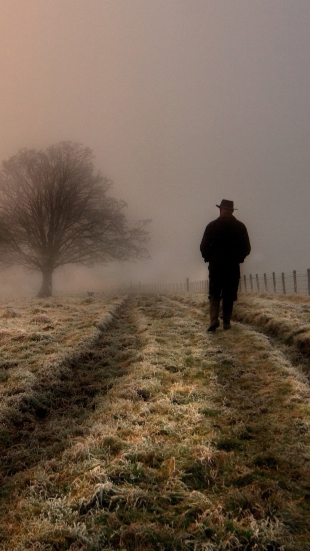 Lonely Man Walking In Field wallpaper 1080x1920