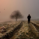 Das Lonely Man Walking In Field Wallpaper 128x128
