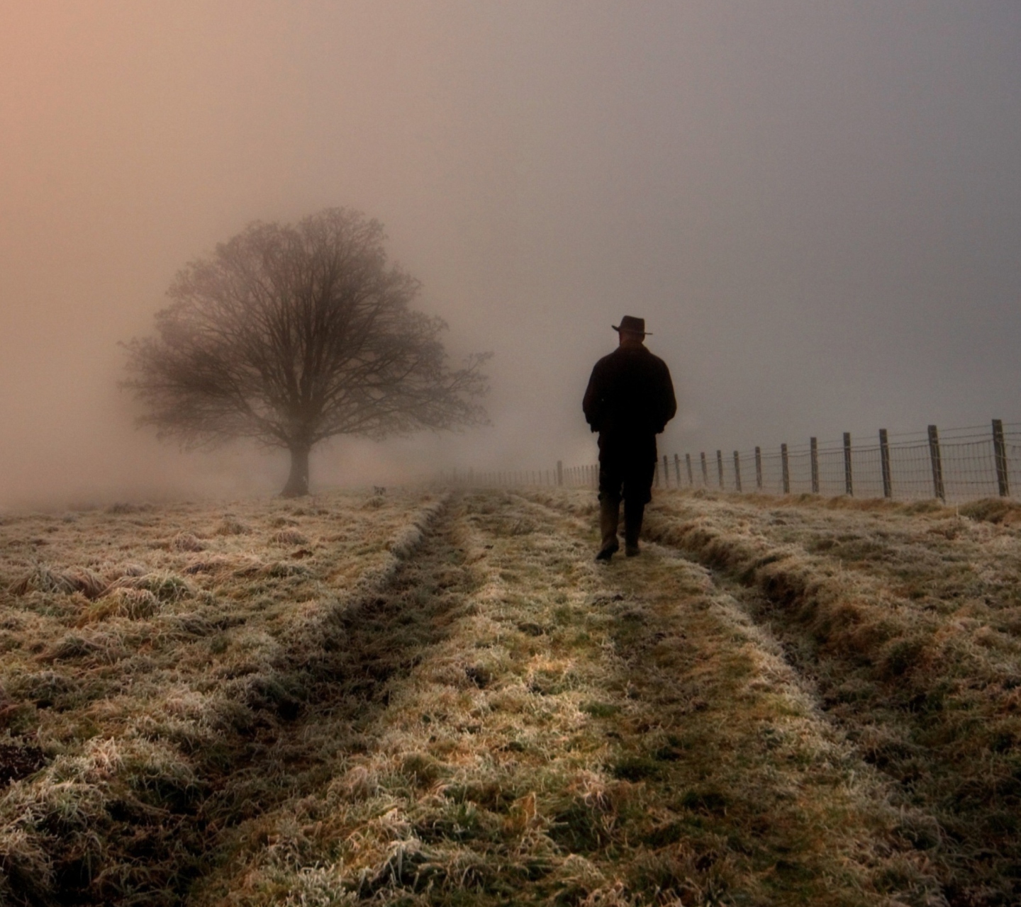 Обои Lonely Man Walking In Field 1440x1280