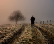 Screenshot №1 pro téma Lonely Man Walking In Field 176x144
