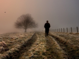 Lonely Man Walking In Field wallpaper 320x240