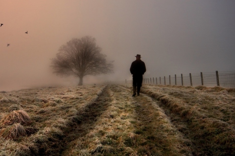 Lonely Man Walking In Field wallpaper 480x320
